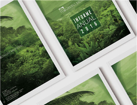 Memoria Anual Grupo Mundial